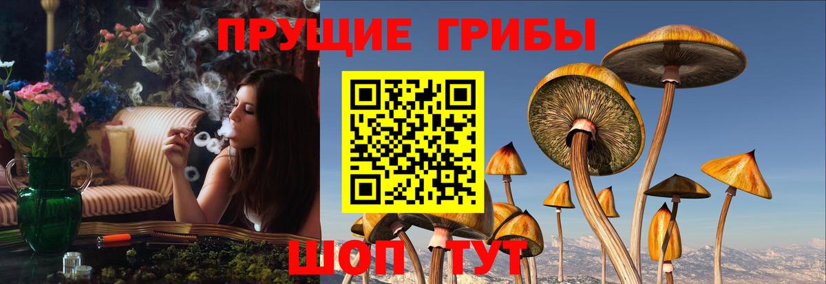 Жуковский  Псилоцибиновые грибы мицелий  Галлюциногенные грибы GOLDEN TEACHER  Вход с VPN 