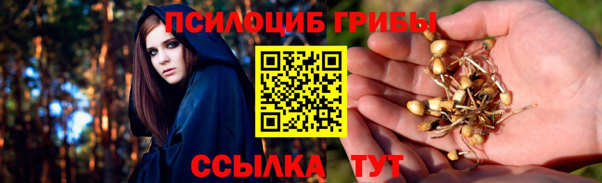 Галлюциногенные грибы прущие грибы Жуковский